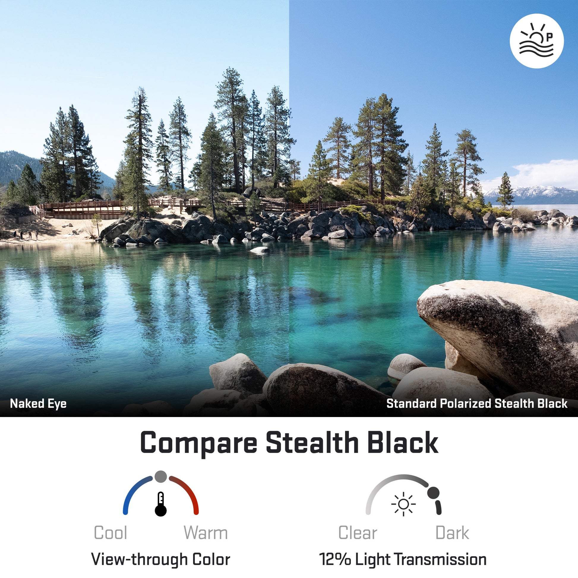 view looking through standard polarized stealth black replacement lenses